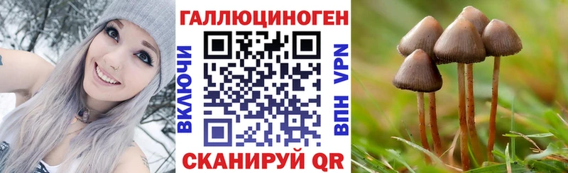 мега ссылка  купить наркоту  Троицк  Псилоцибиновые грибы ЛСД 