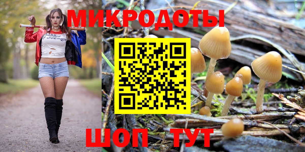 Псилоцибиновые грибы Psilocybine cubensis  Вход с VPN  Троицк 