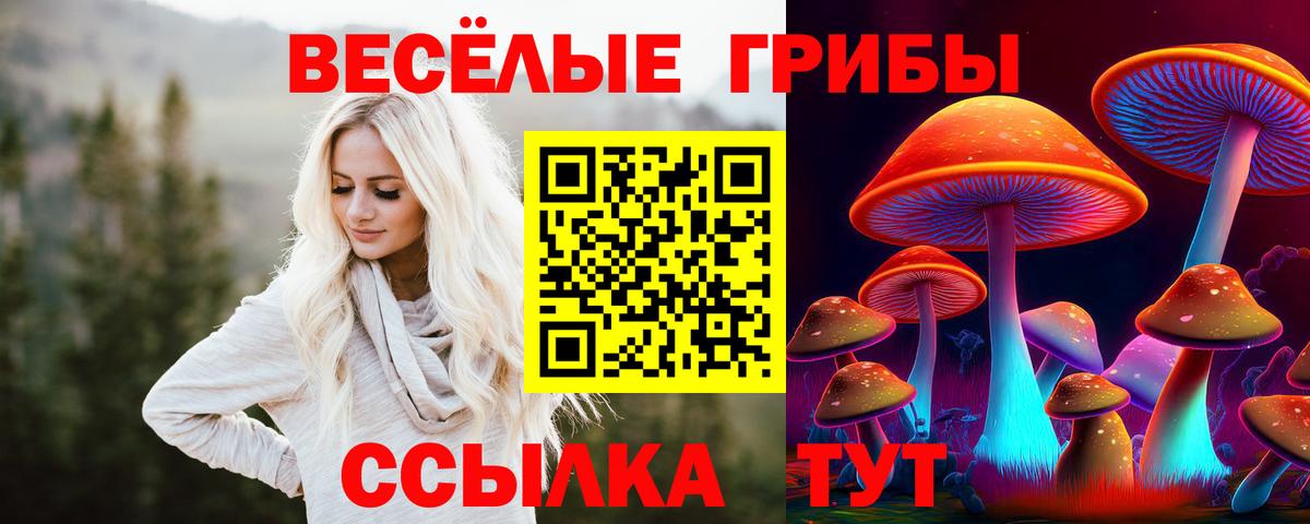 Галлюциногенные грибы Psilocybe Троицк